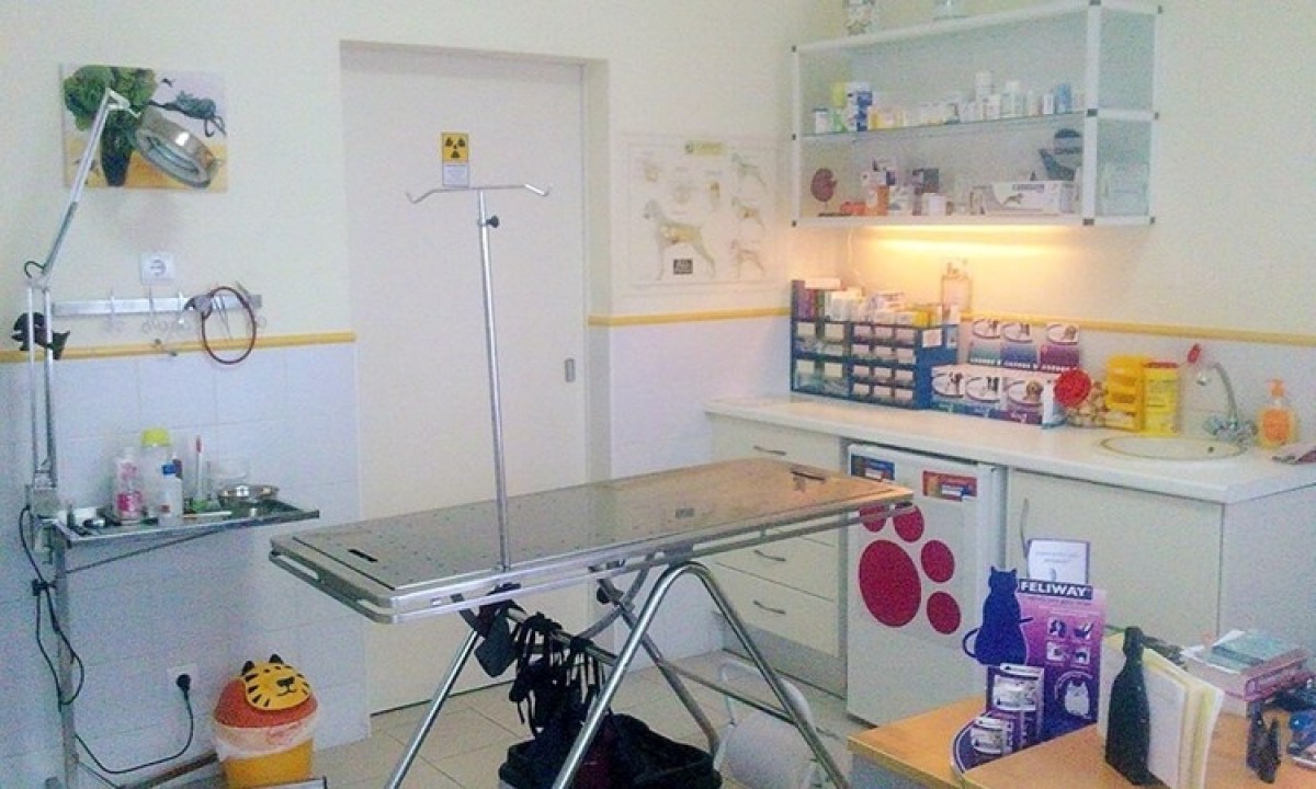 Cl&iacute;nica veterin&aacute;ria